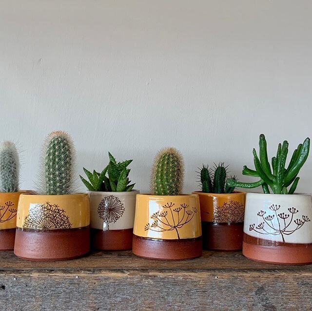 I&rsquo;ve only got a few of these toasty tiny cactus pots left. Everyone needs some plants in their home🌵  #ceramicplantpot #cactuspots #madeonthewheel #sgraffitopottery #cowparsleydesign #dandeliondesigns #alliumdesign #bristolpotter #handmadecera