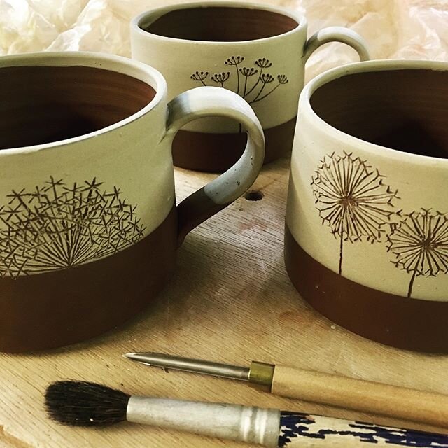 Sgraffito mugs done ☺️ #dandeliondesigns #cowparsleydesigns #alliumdesigns #handmademugsceramics #handmademugsarethebest #redearthenwareclay #bristolpotter #handmadeinbristol #coffeecups #mugofteatime #ceramicsuk #sgraffitopottery #loveclay
