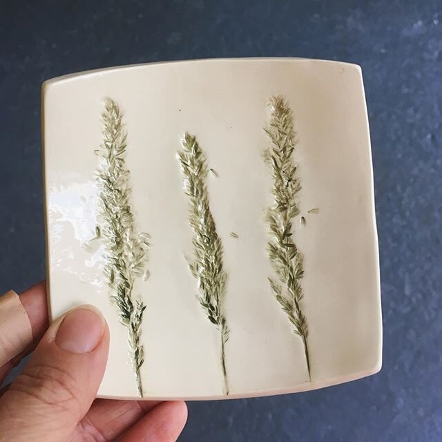 Imprints ☺️ So many lovely grasses in our park at the mo #imprints #wendycalderceramics #bristolpotter #whiteearthenwareclay #grassimprints #madeinbristol #instapottery #ceramics #ceramicsuk