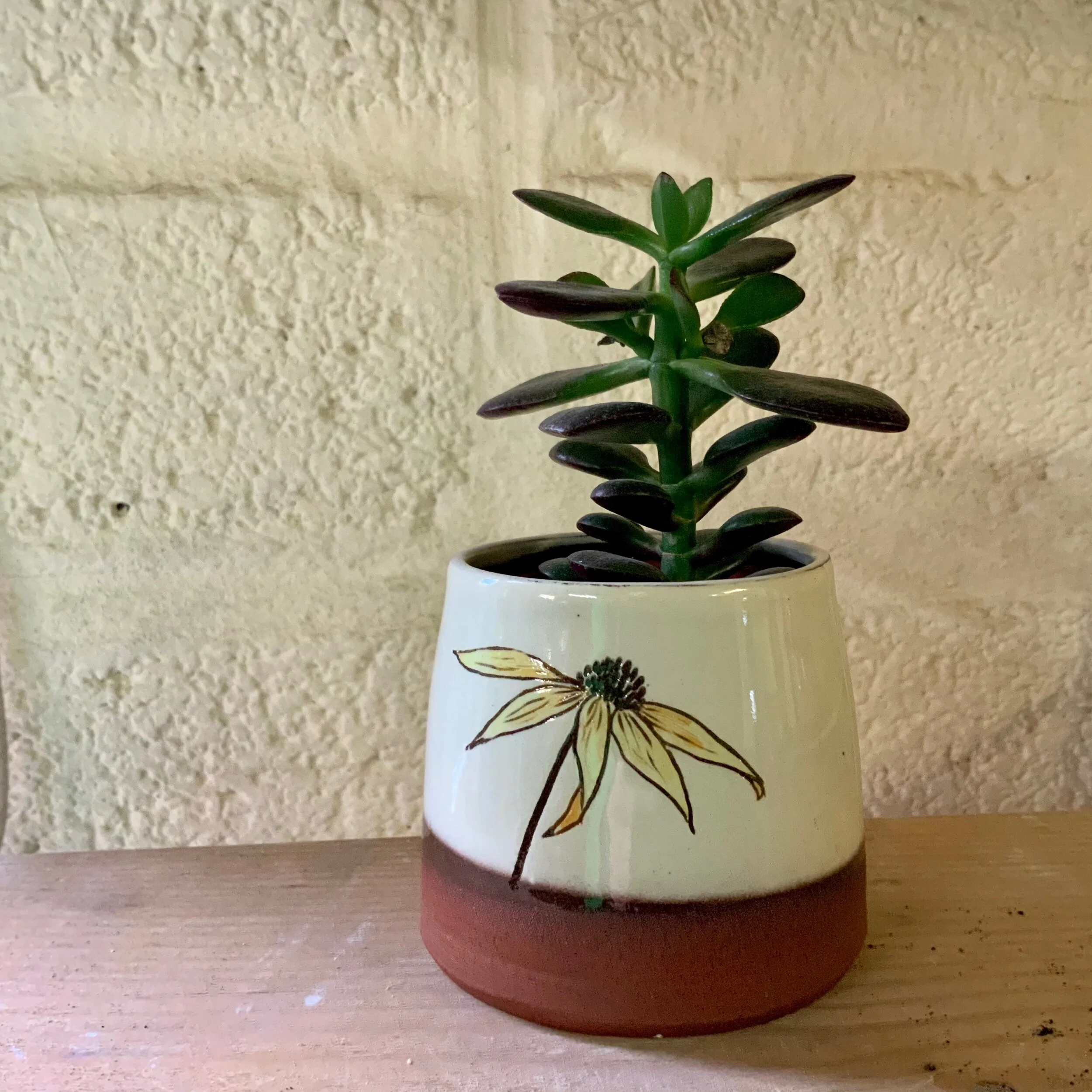 9CB51FC3-3917-404B-96B9-311FECE0D0CB