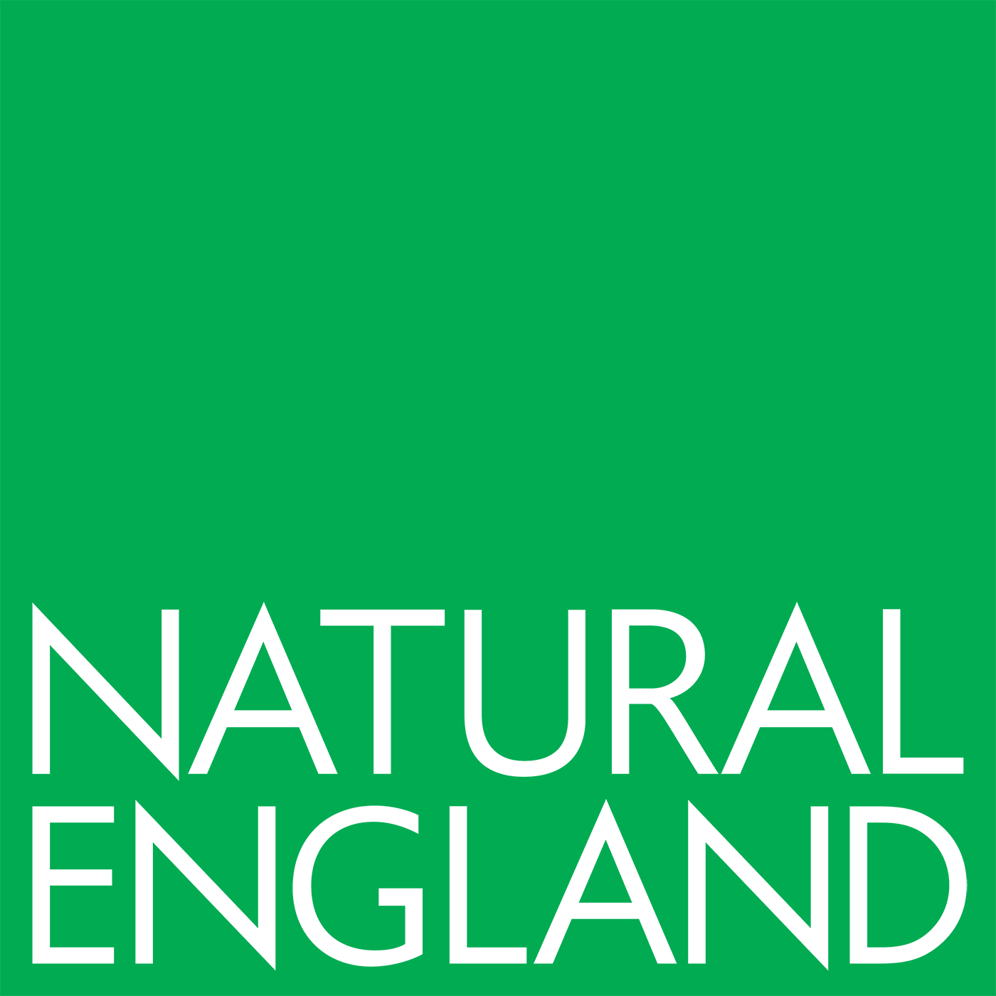 natural-england.png