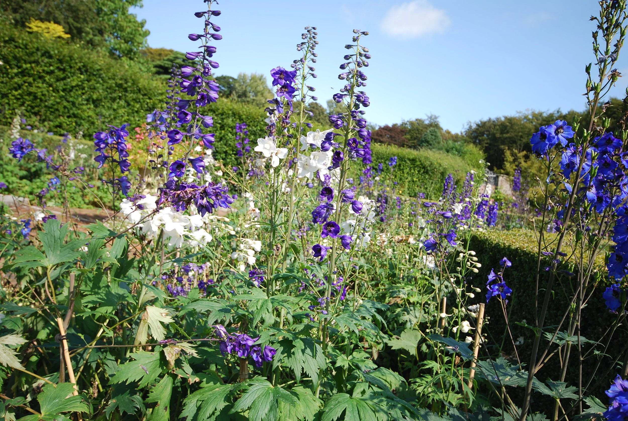 How To Go Your Own Way 