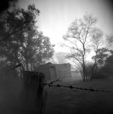 fog.jpg