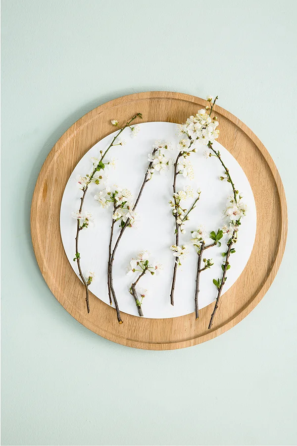 Spring Bloom-5 copy.jpg