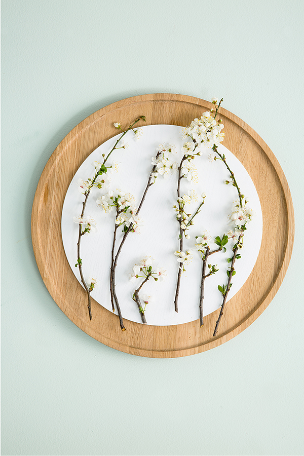 Spring Bloom-5 copy.jpg