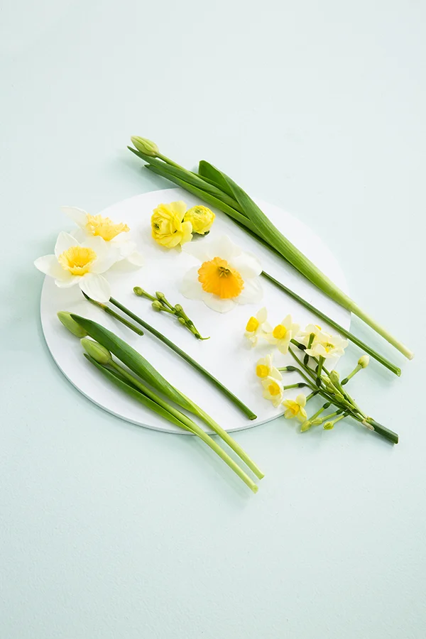 Spring Bloom-8 copy.jpg