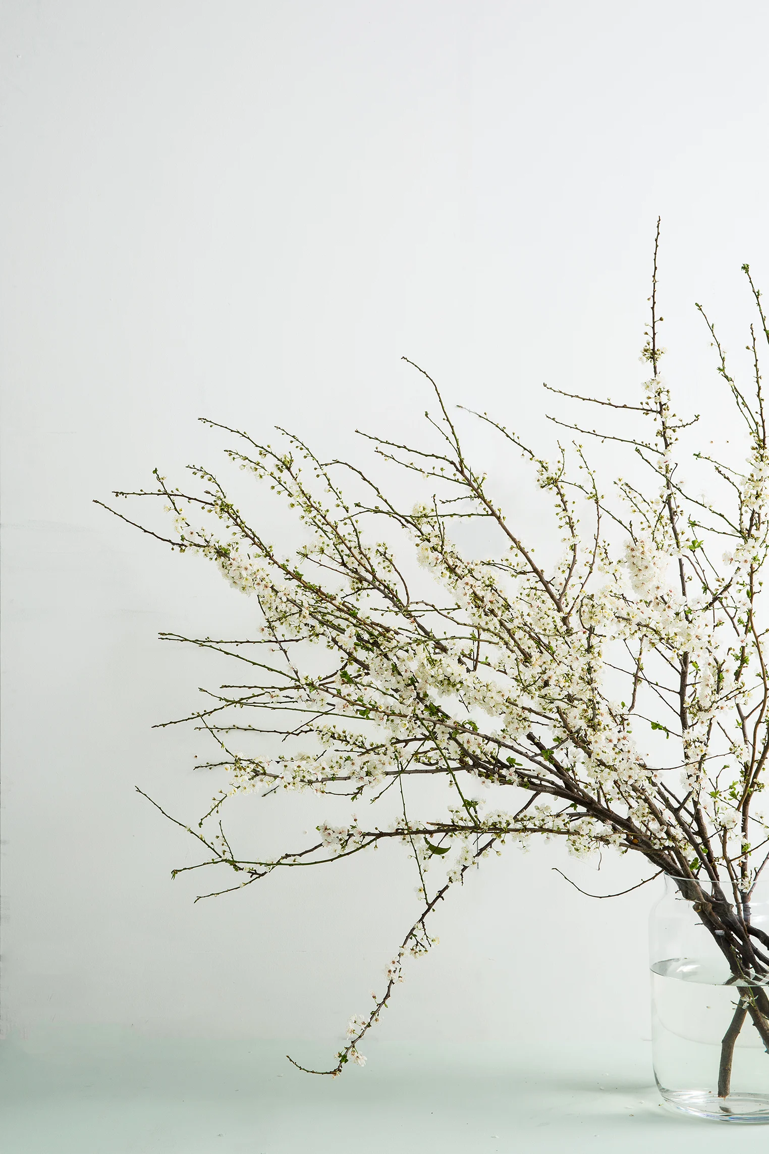 Spring Bloom-3 copy.jpg