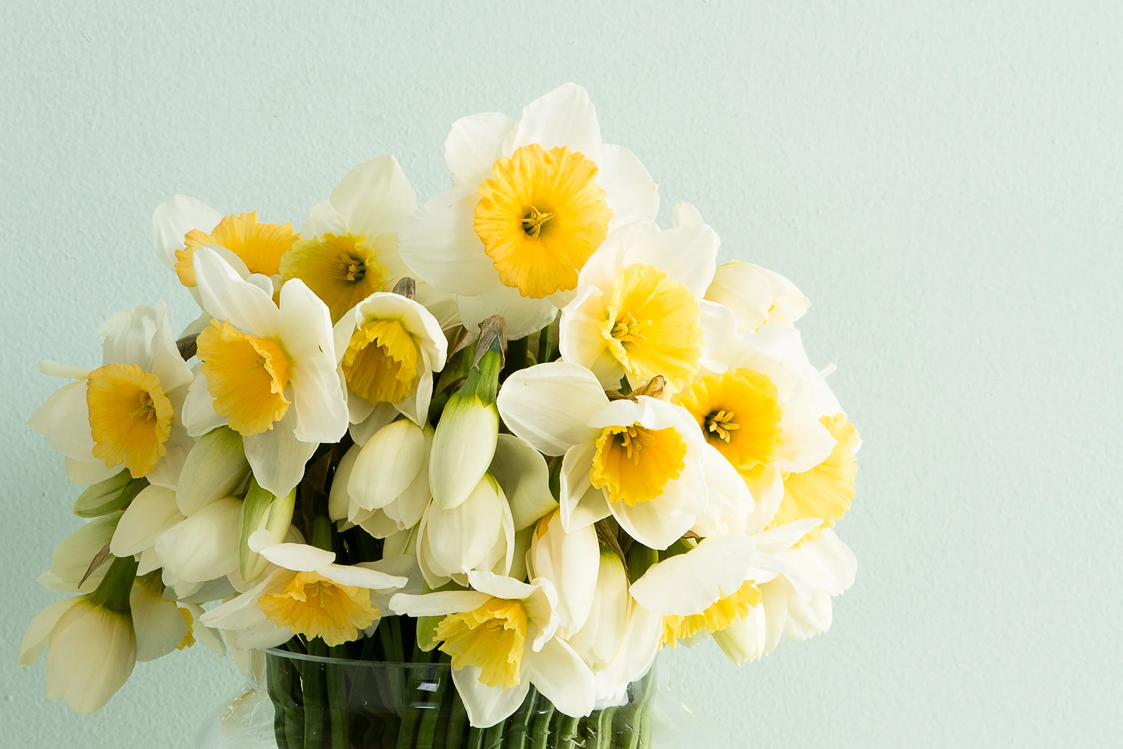 Spring Bloom-22 copy.jpg