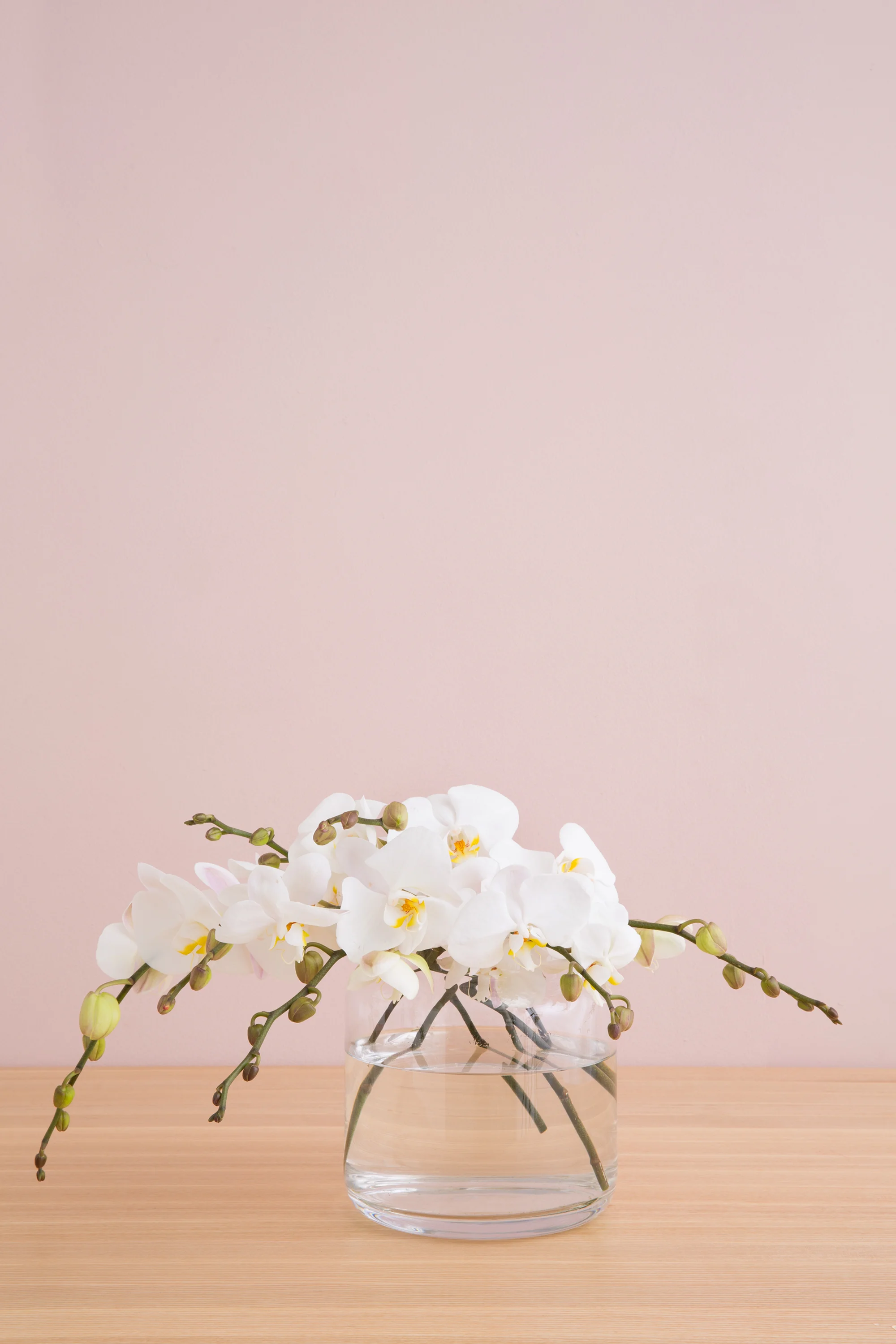 ____049.jpg