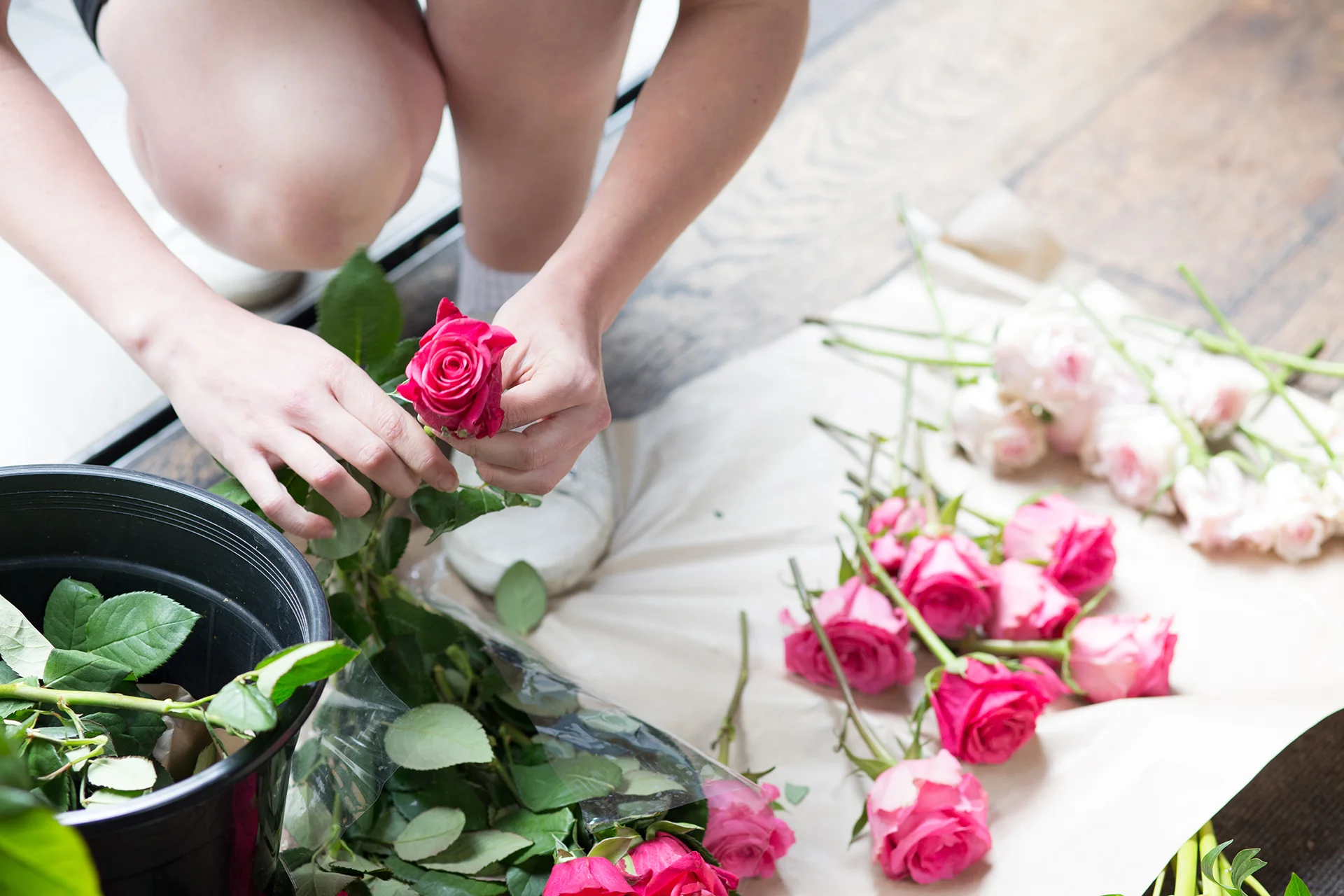 Verve Rose-3.jpg