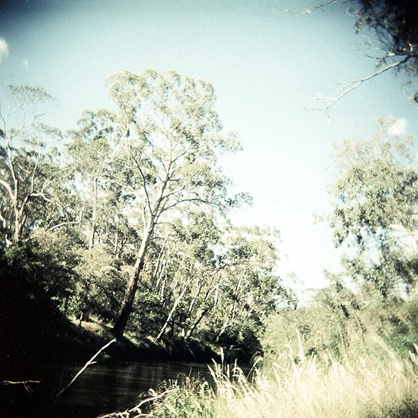 Film shots-7 copy.jpg