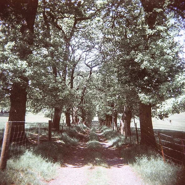 Film shots-8 copy.jpg