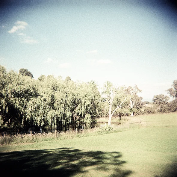 Film shots-17 copy.jpg