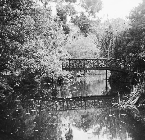 insta image 3 copy.jpg
