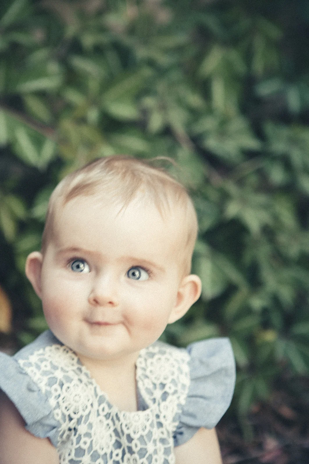 Cook Family 2017-156 copy.jpg