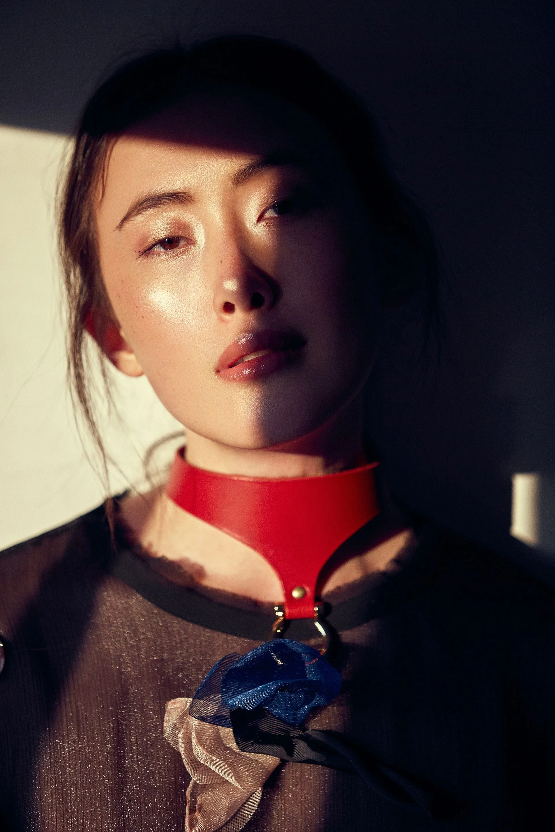 5-lucy-feng-main-book.jpg