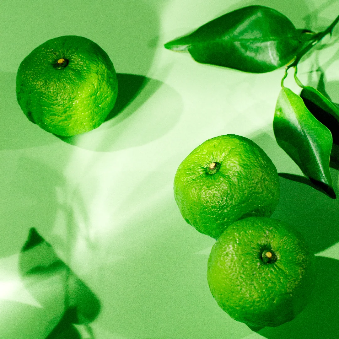 171205_ingredient_1080x1080_yuzu.jpg