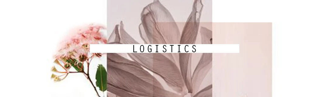 Alpha 2019 logistics.jpg