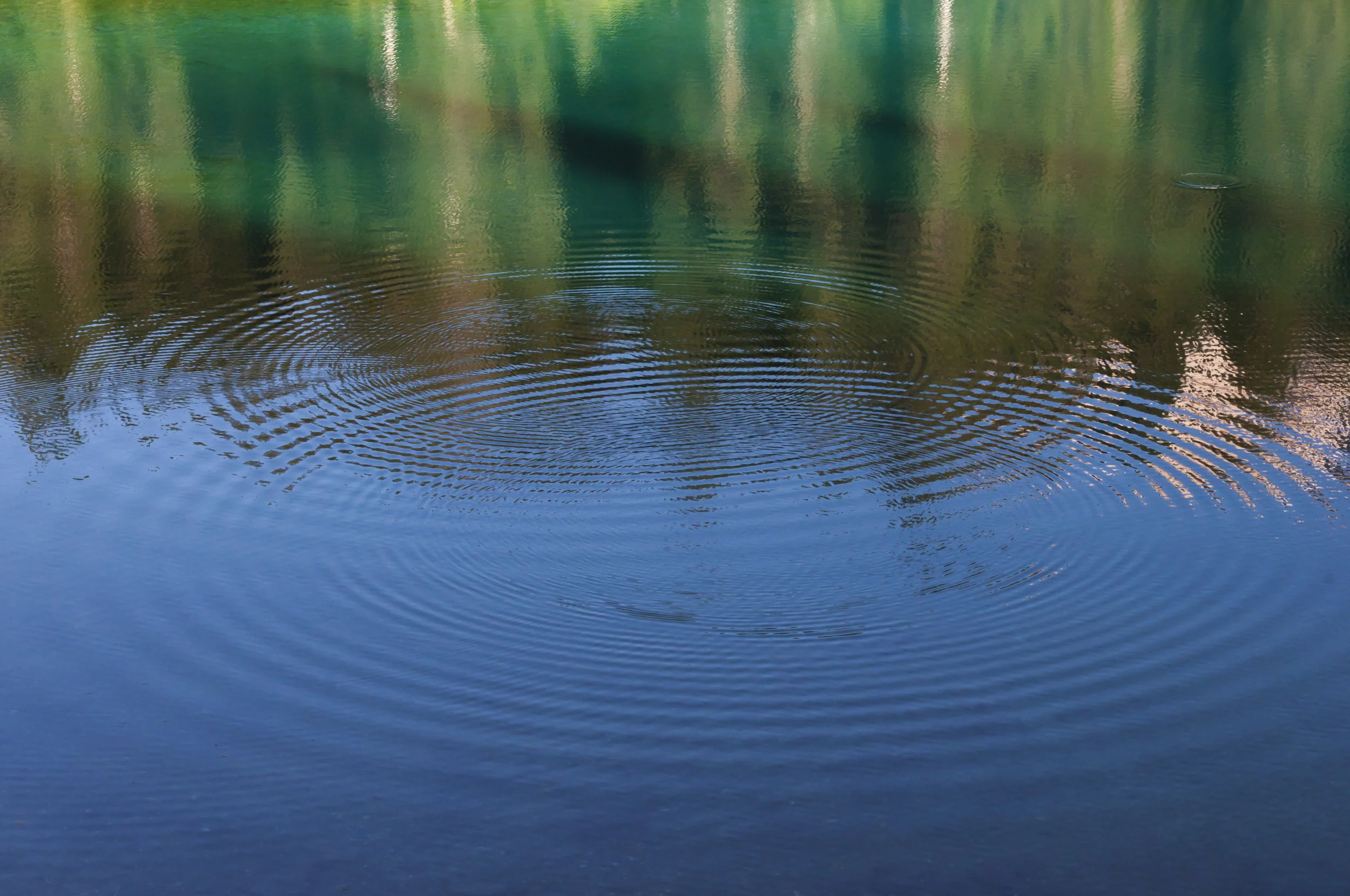 Quale segnale mandi? Facciamo un test