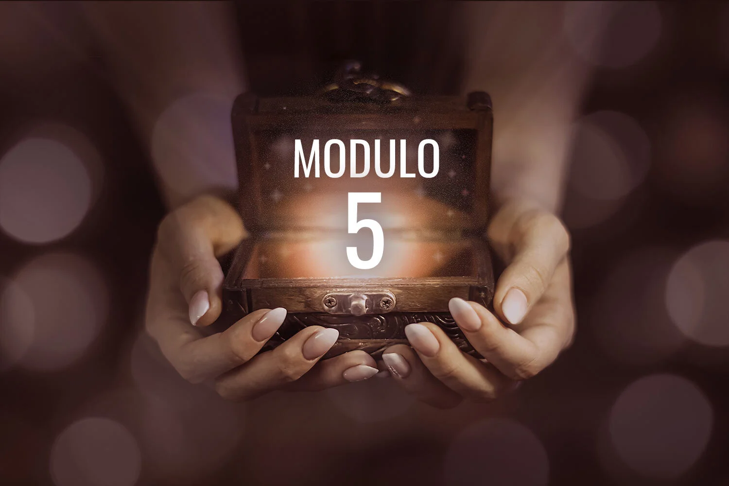 Modulo 5 