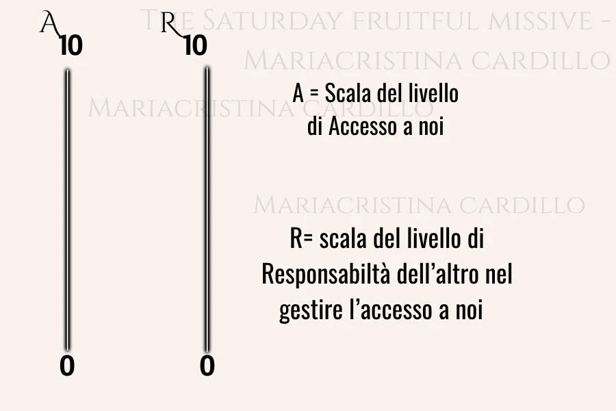 T Femmes Website Modules - 2026-02-14T232718.463.jpg