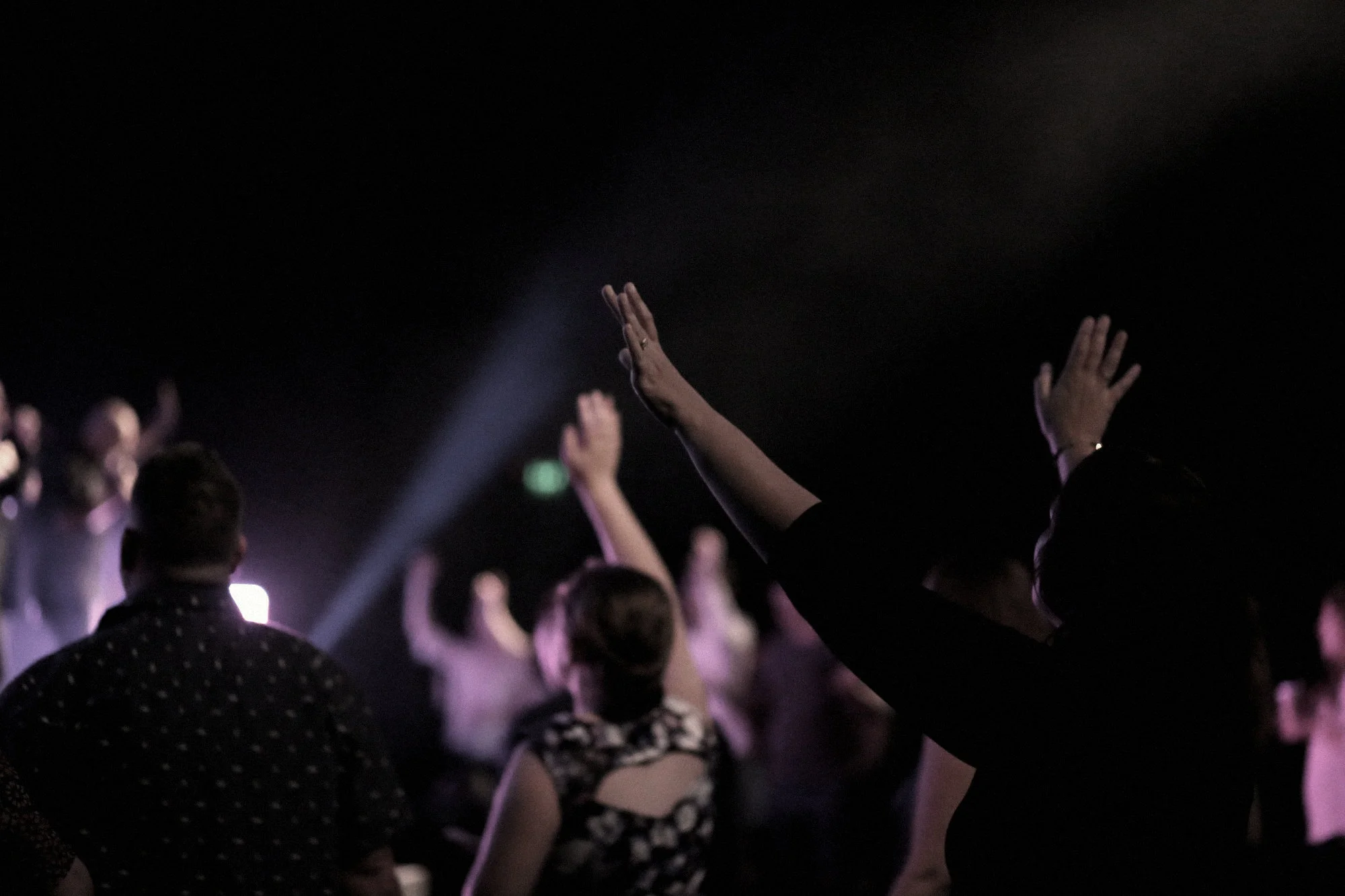 1V8A3956 (Custom).jpg