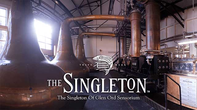 THE SINGLETON