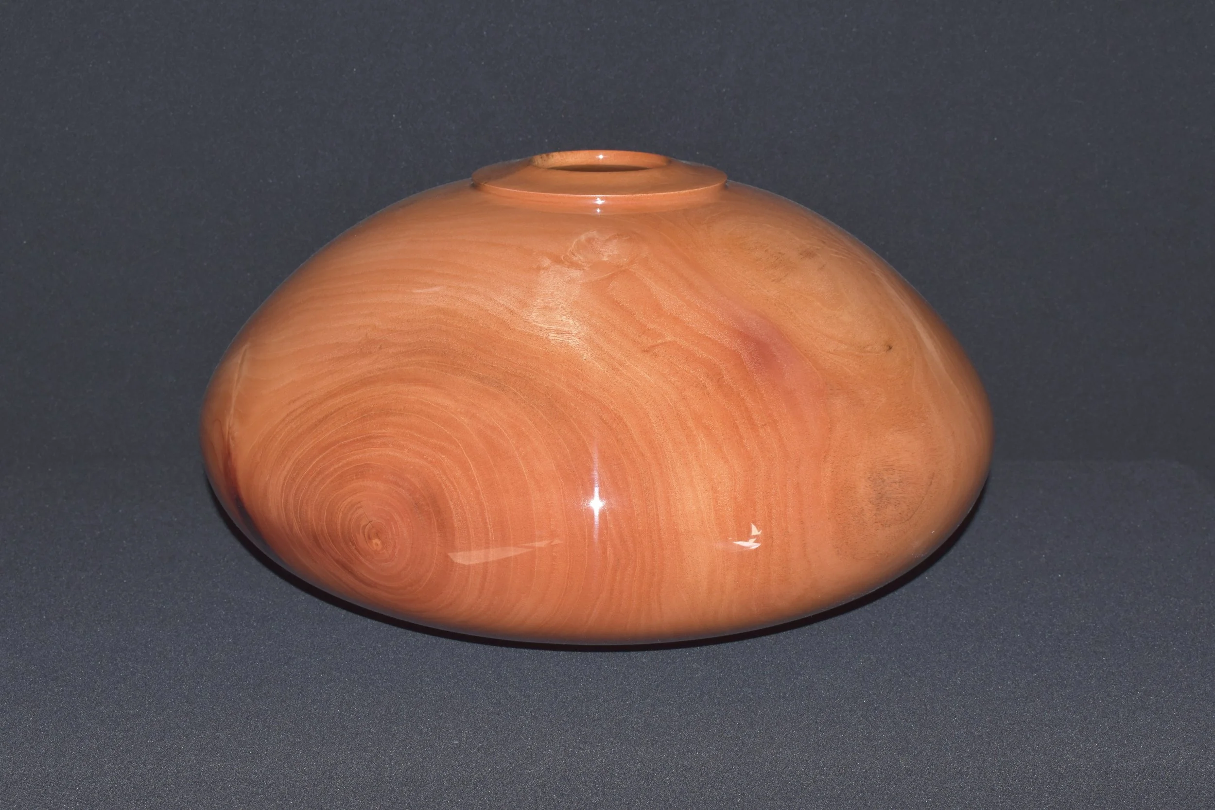 #21 Cuban Mahogany. (Swietenia mahogany) Black Series