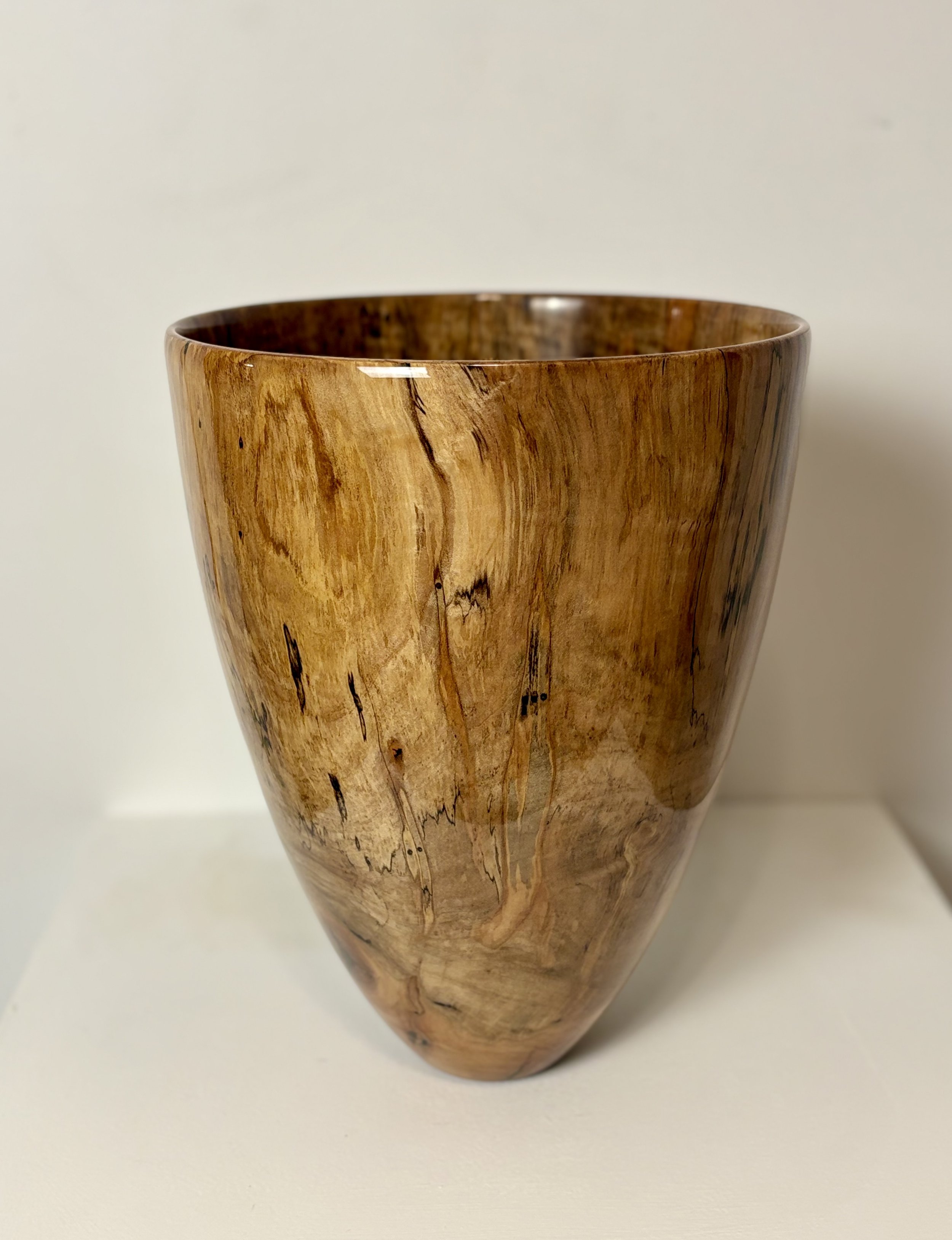 #40 Spalted Silver Maple (Acer Saccharinum) Black Series