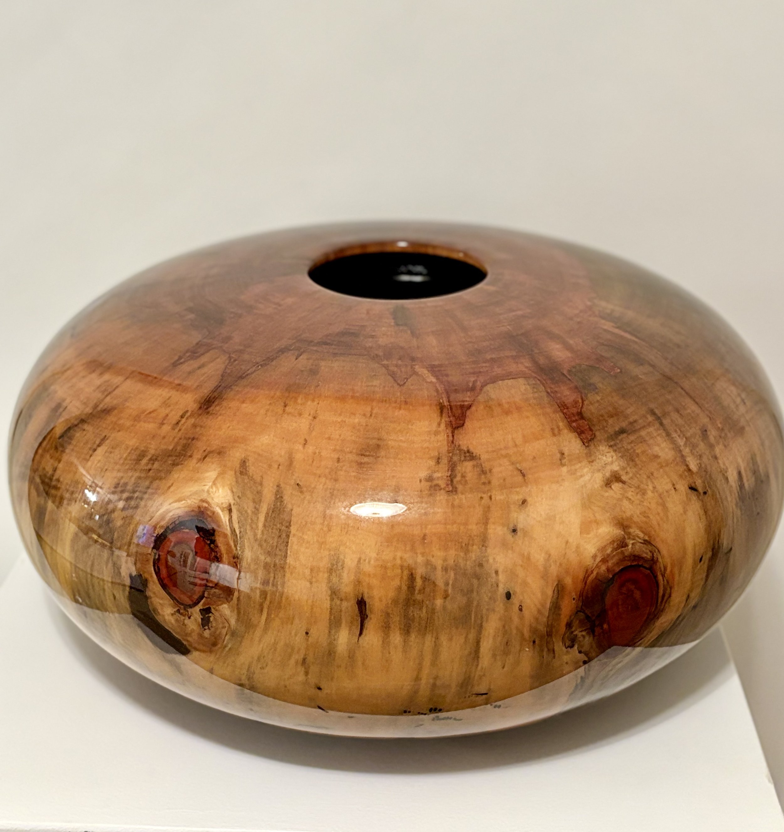 #264 Norfolk Island Pine