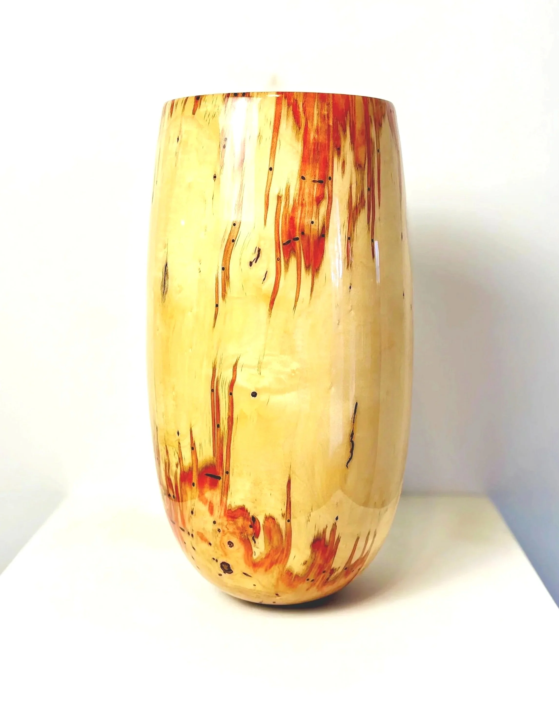 #70 Ash Leaf Maple