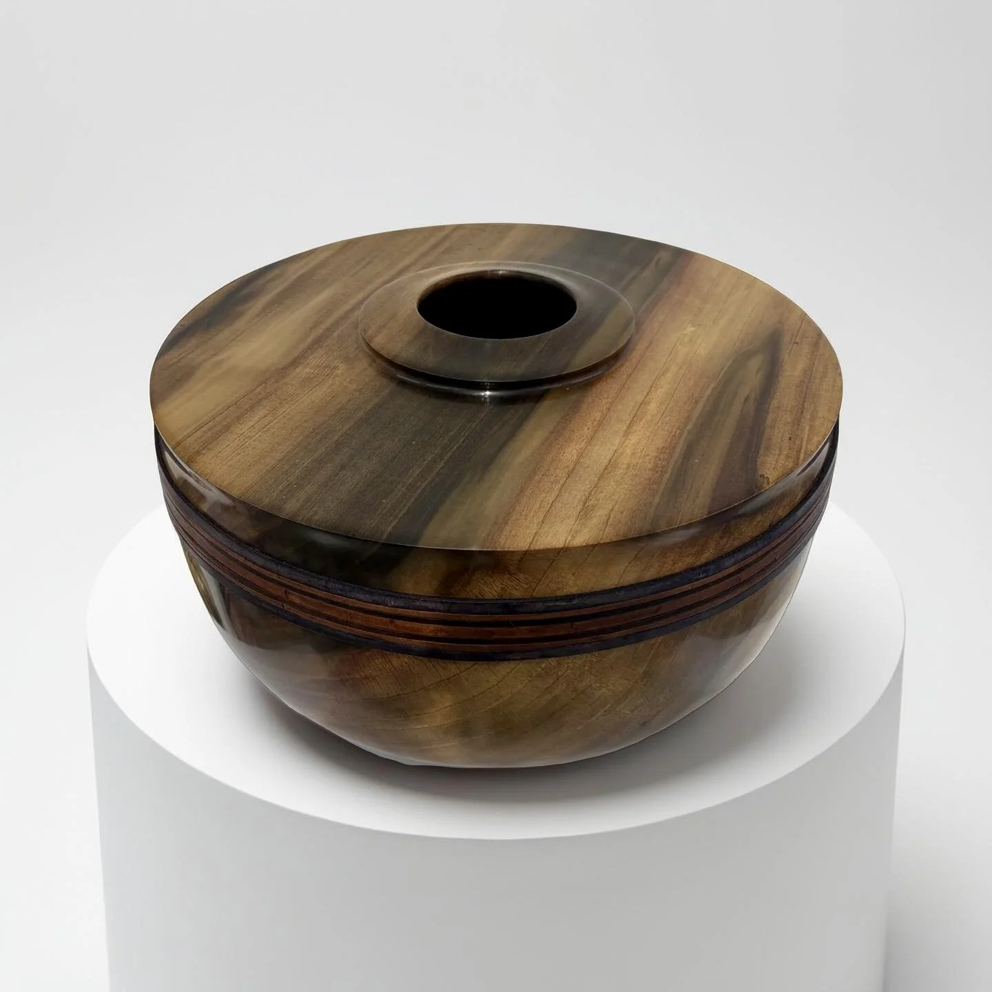 #61 Rainbow Tulip Poplar (SOLD)