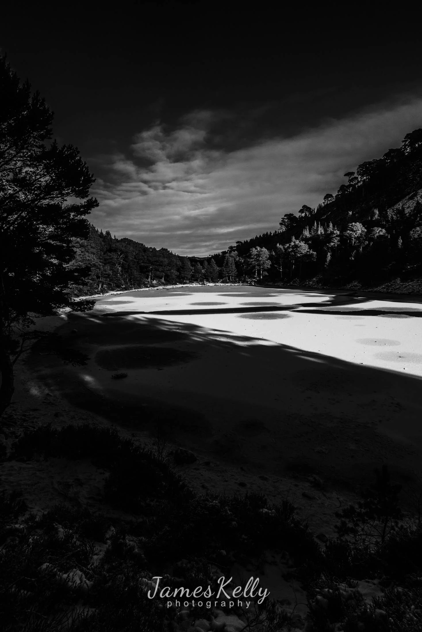 CA1_0229.jpg