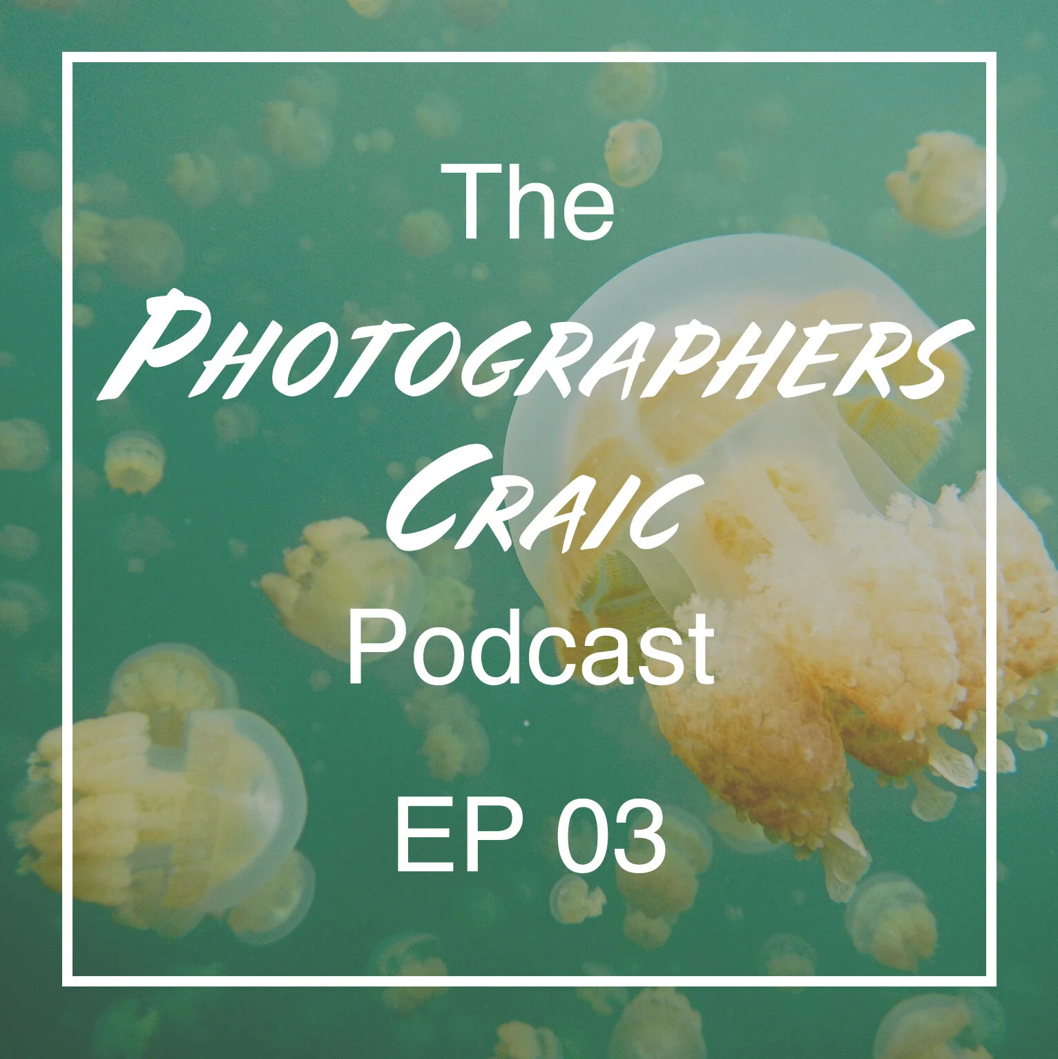 Alyce Bender: Living in North Japan, planing too travel North America &amp; Jellyfish