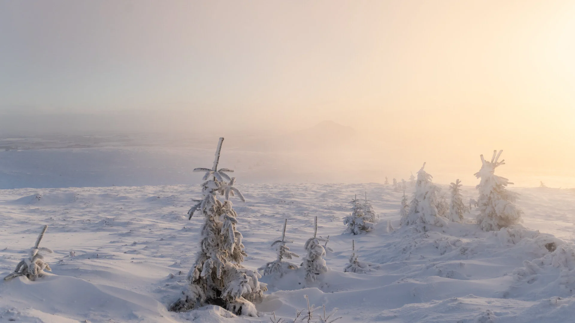 20140117_bennachie-winter_162.jpg