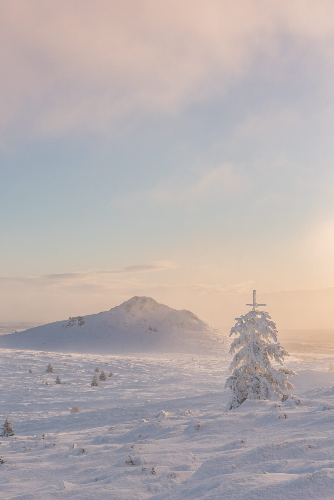 20140117_bennachie-winter_171.jpg