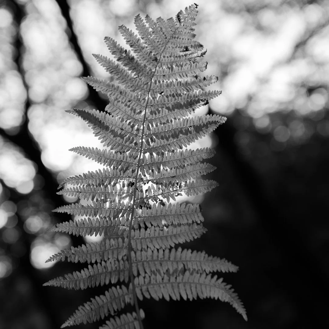 CreativeFestival_20221029_0001-93.jpg