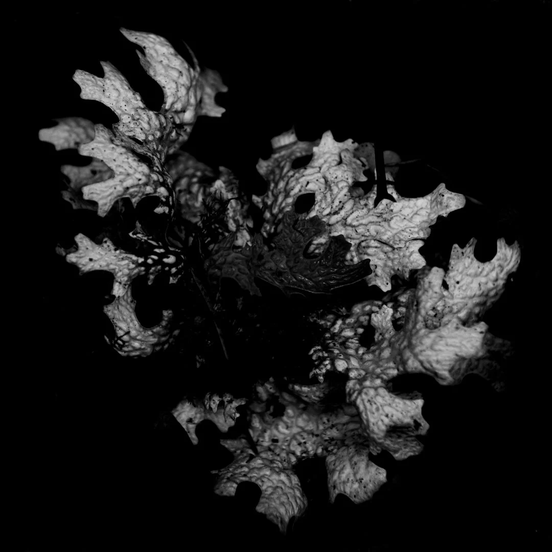 CreativeFestival_20221030_0001-84.jpg