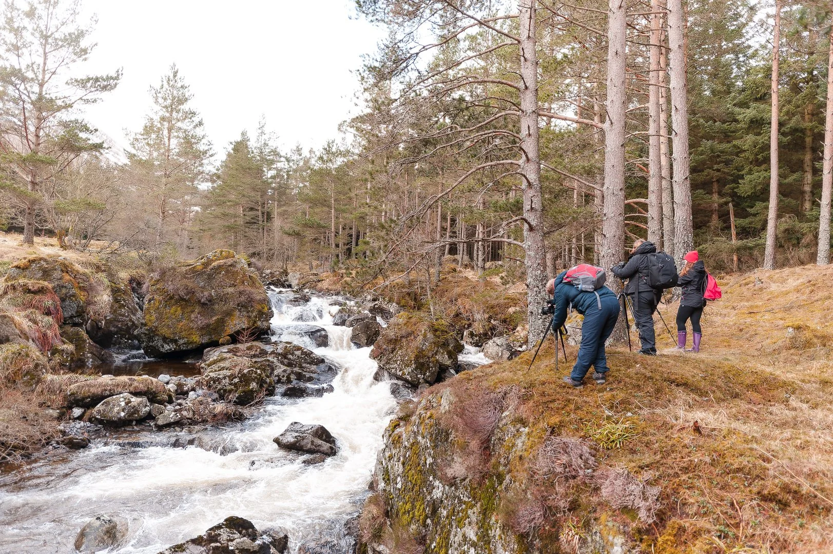 ScotLand_JK_GlenDoll_036_20150301_286-NEF__DXO.jpg