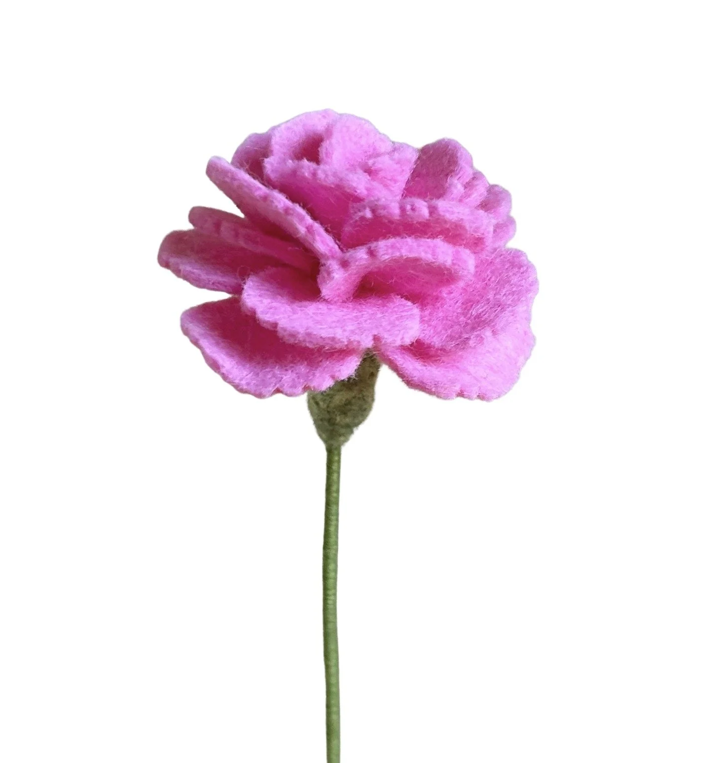 Carnation - Bright Pink