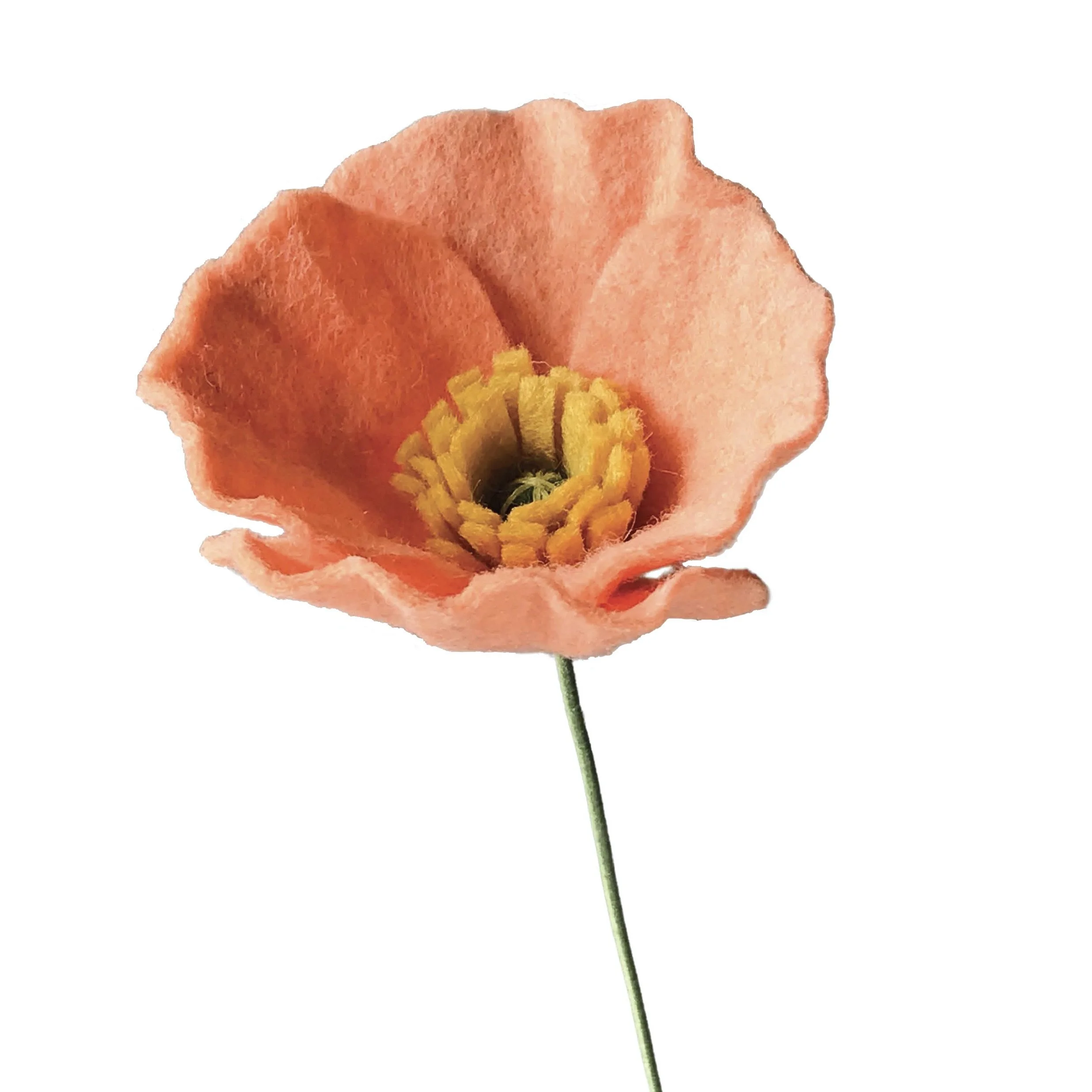Iceland Poppy - Dark Peach