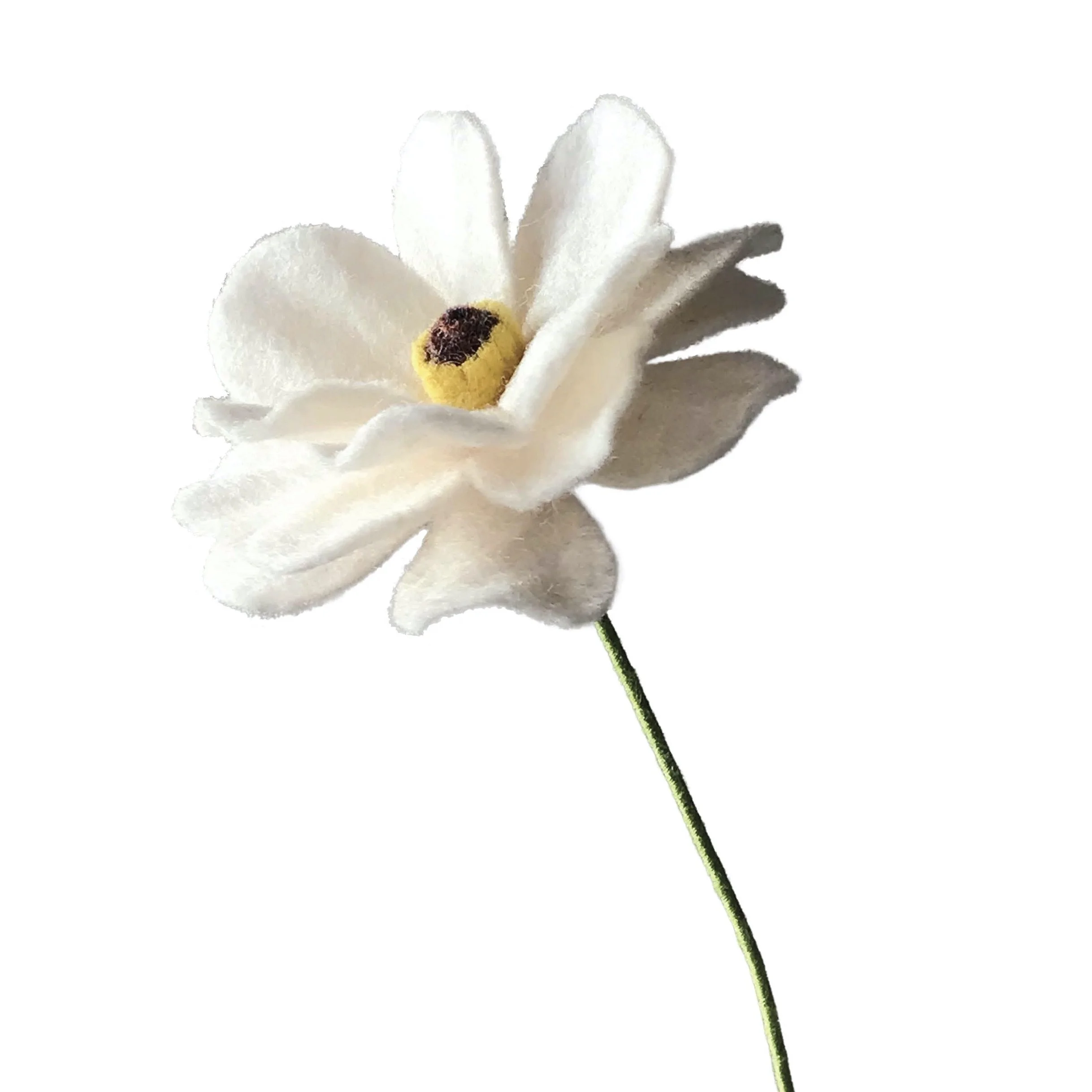 Butterfly Ranunculus