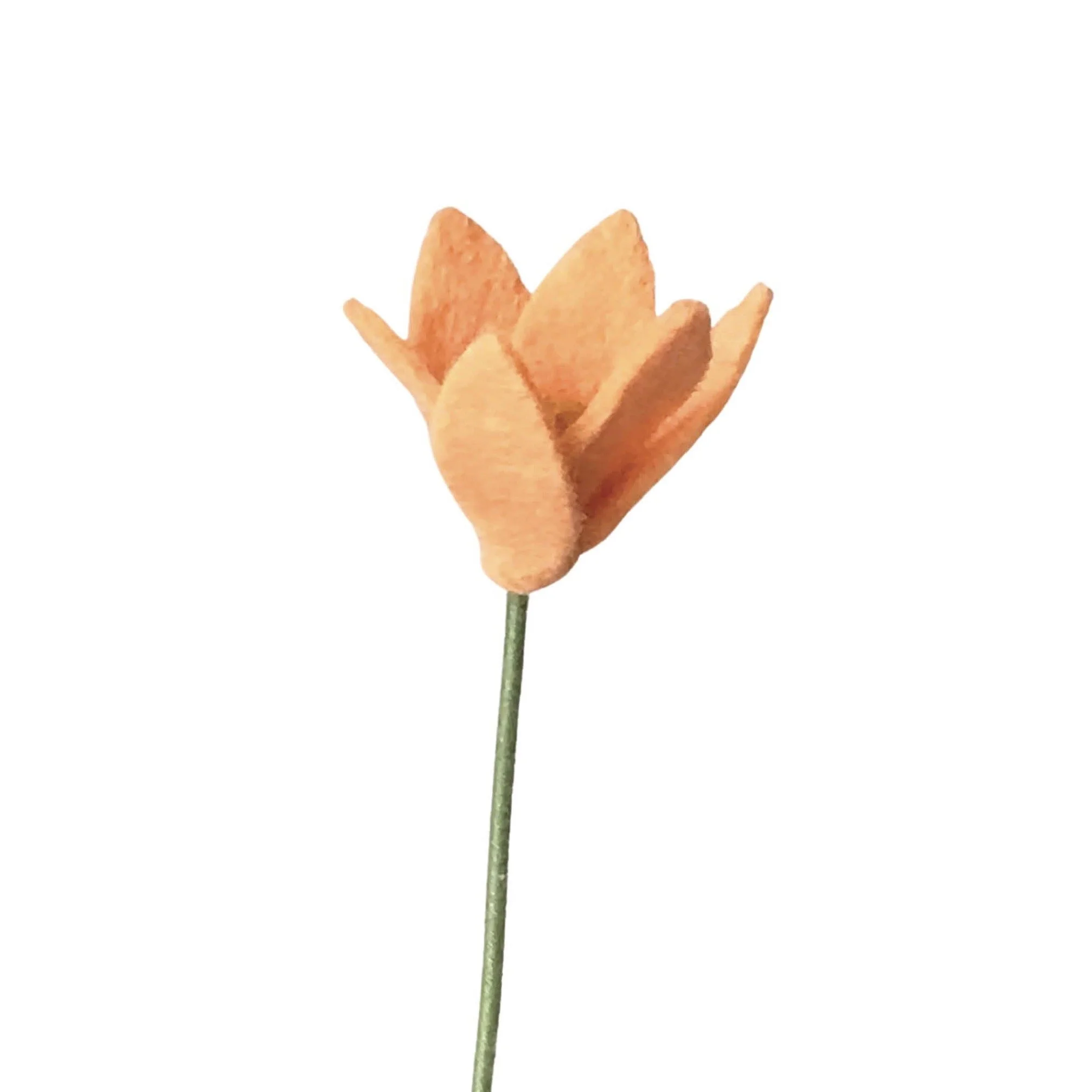 Rain Lily - Dark Peach