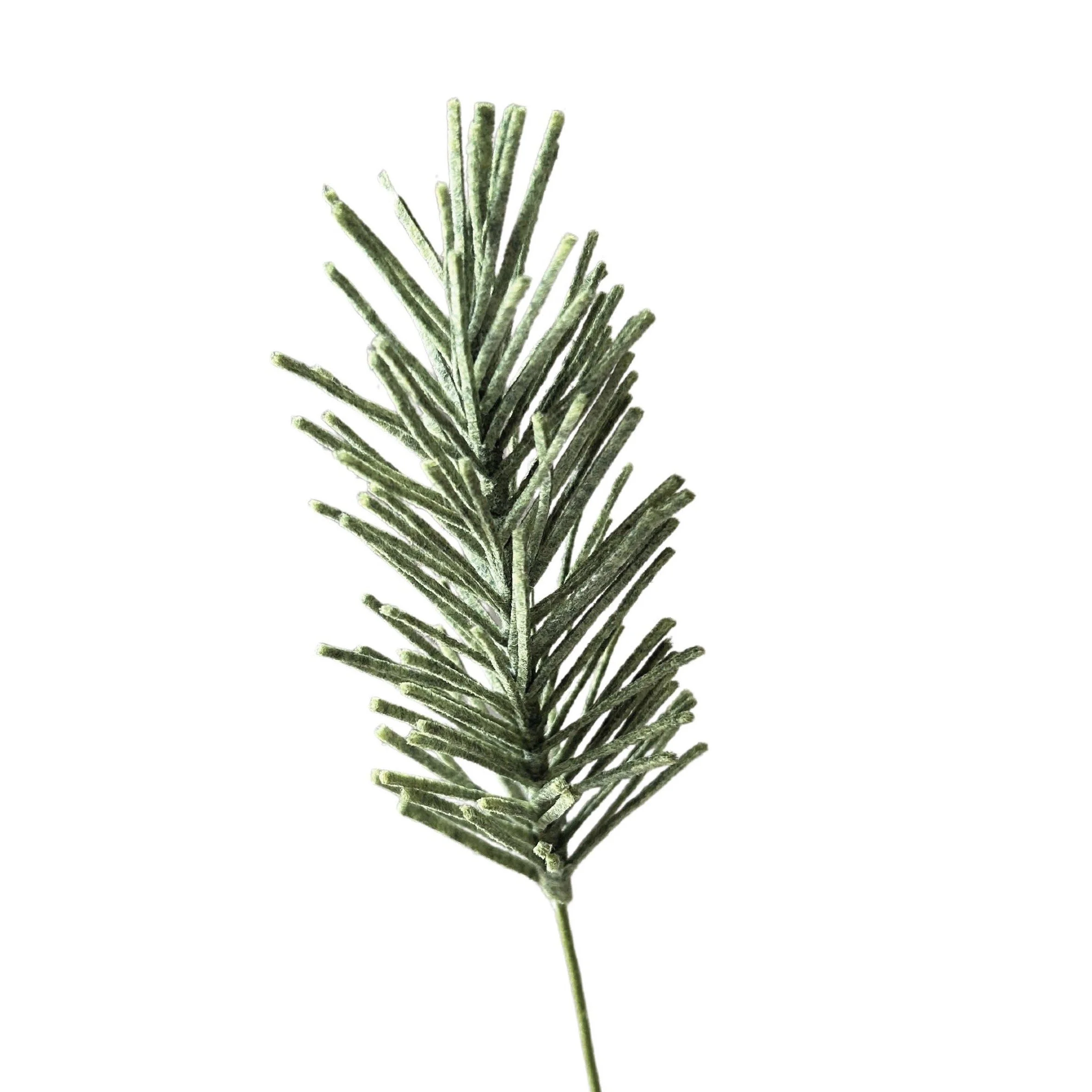 Pine branch