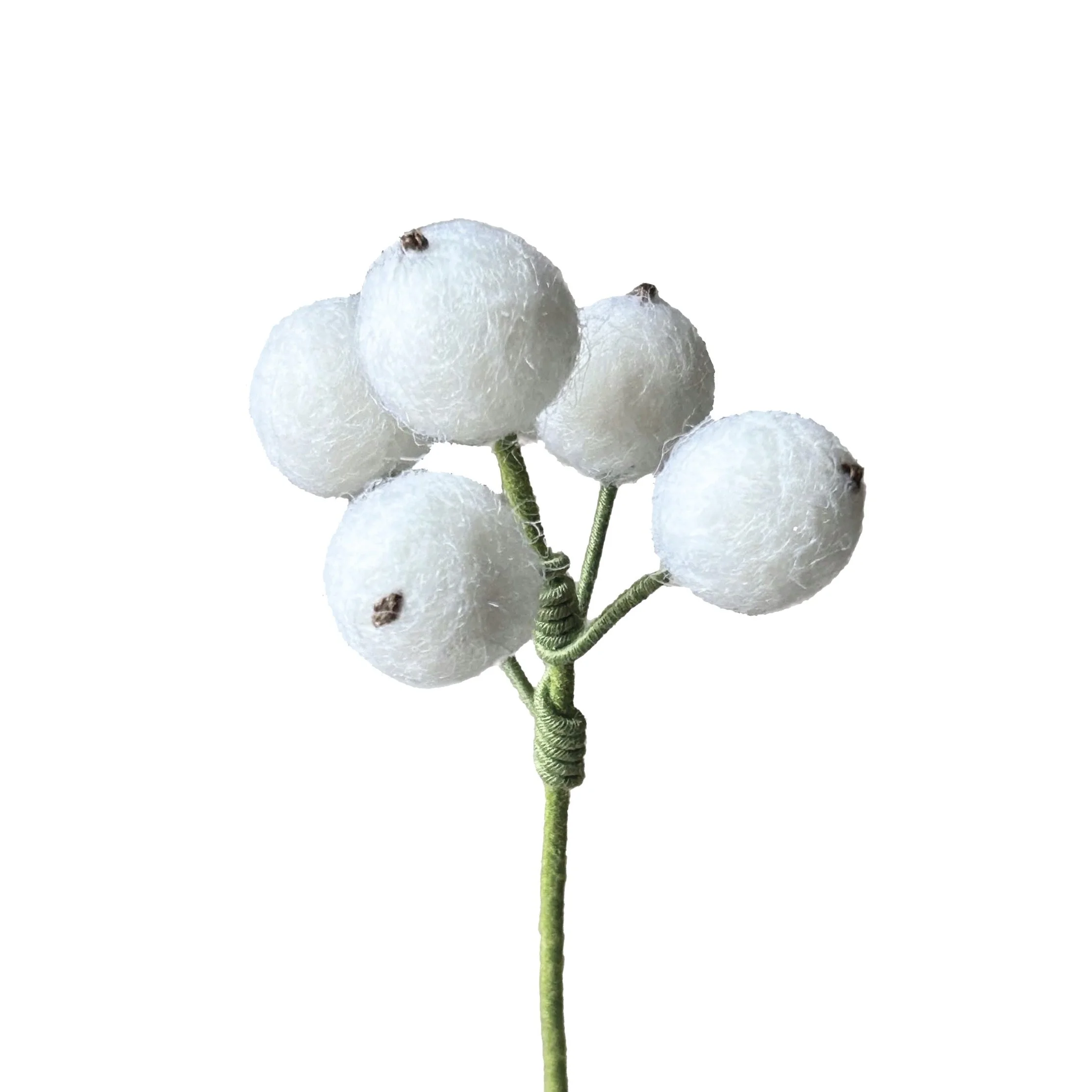 Snowberry - White
