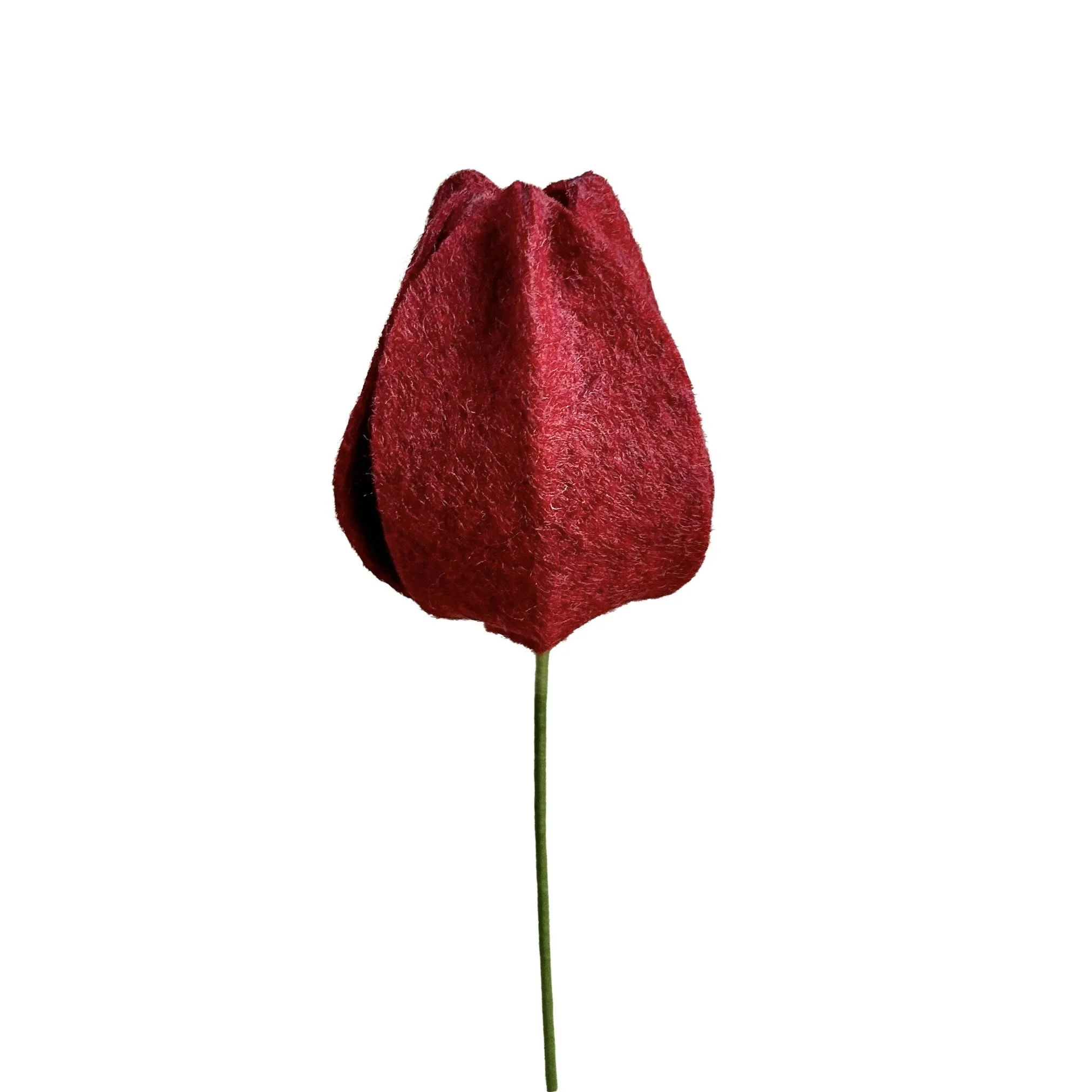 Tulip - Red
