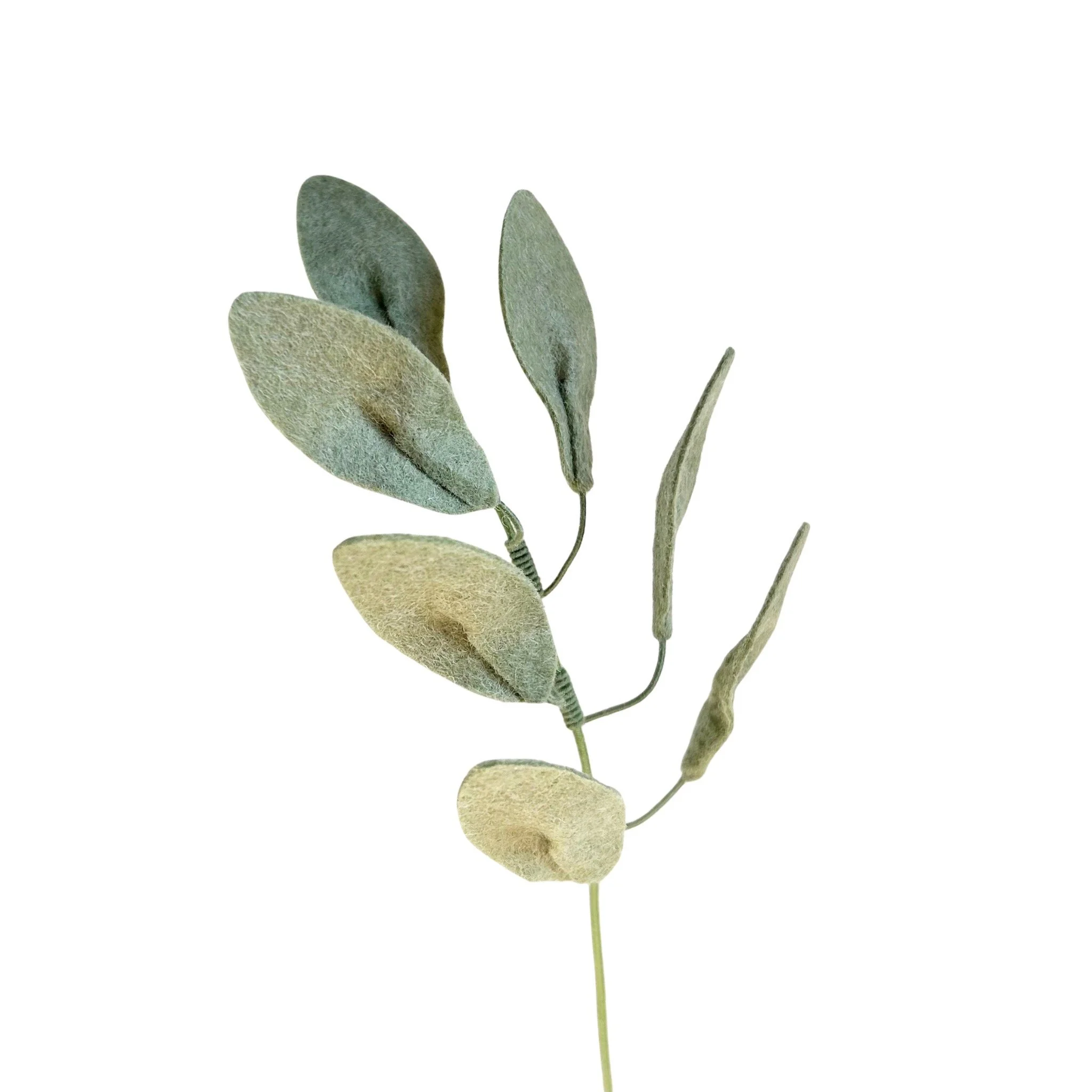 Willow Eucalyptus - Sage