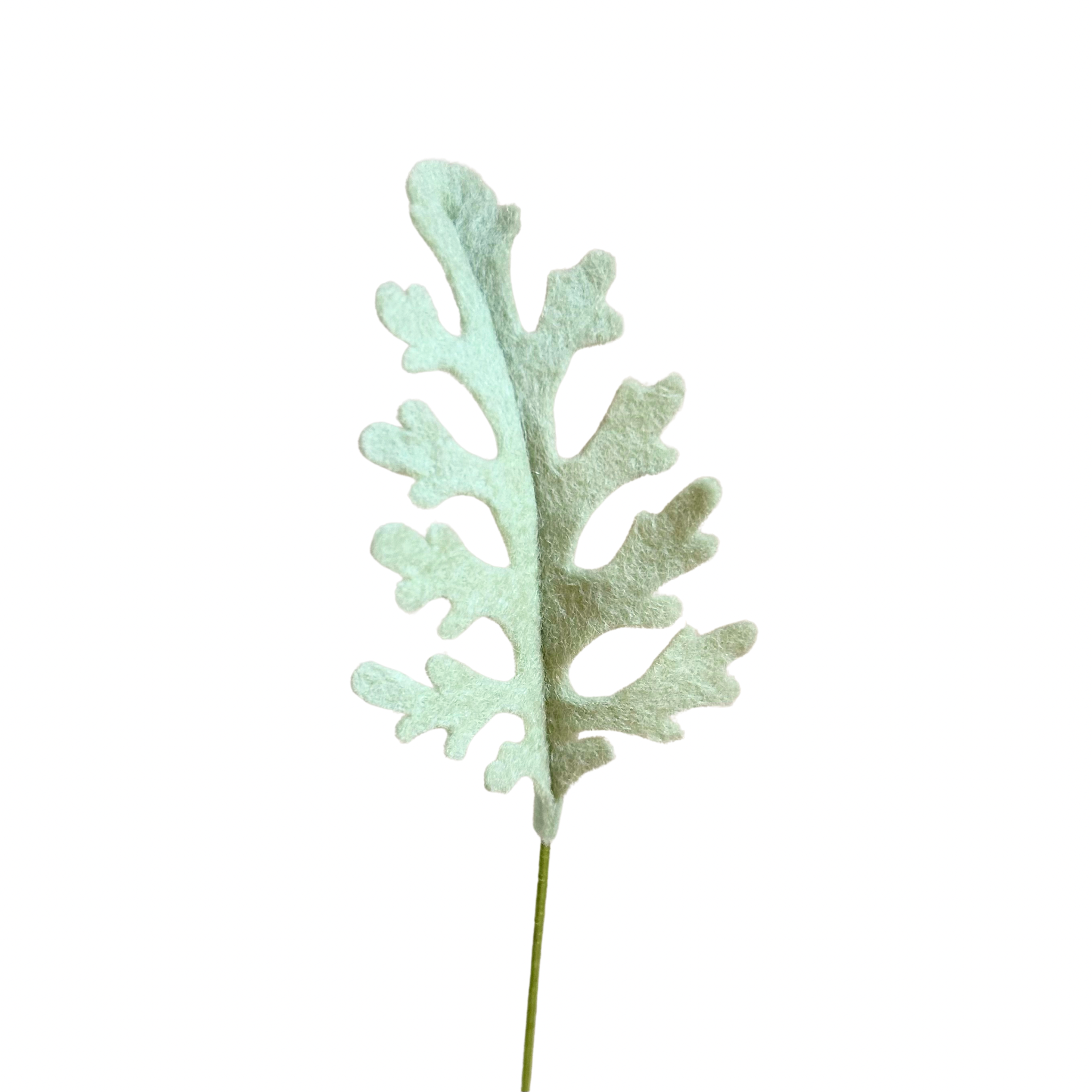 Dusty Miller (Small)