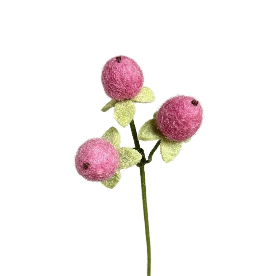 Hypericum Berry - Pink Violet