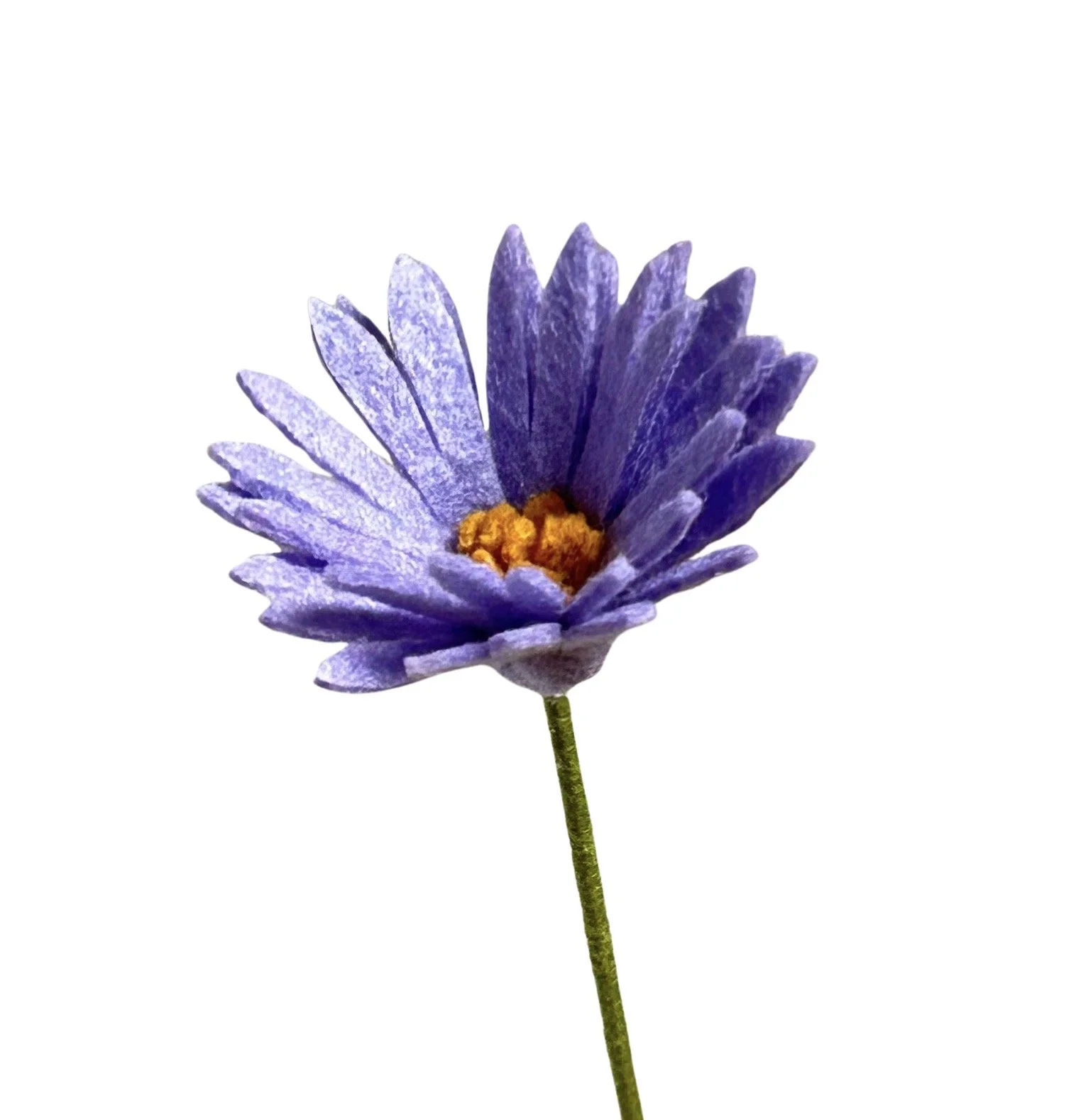 Aster - Lilac